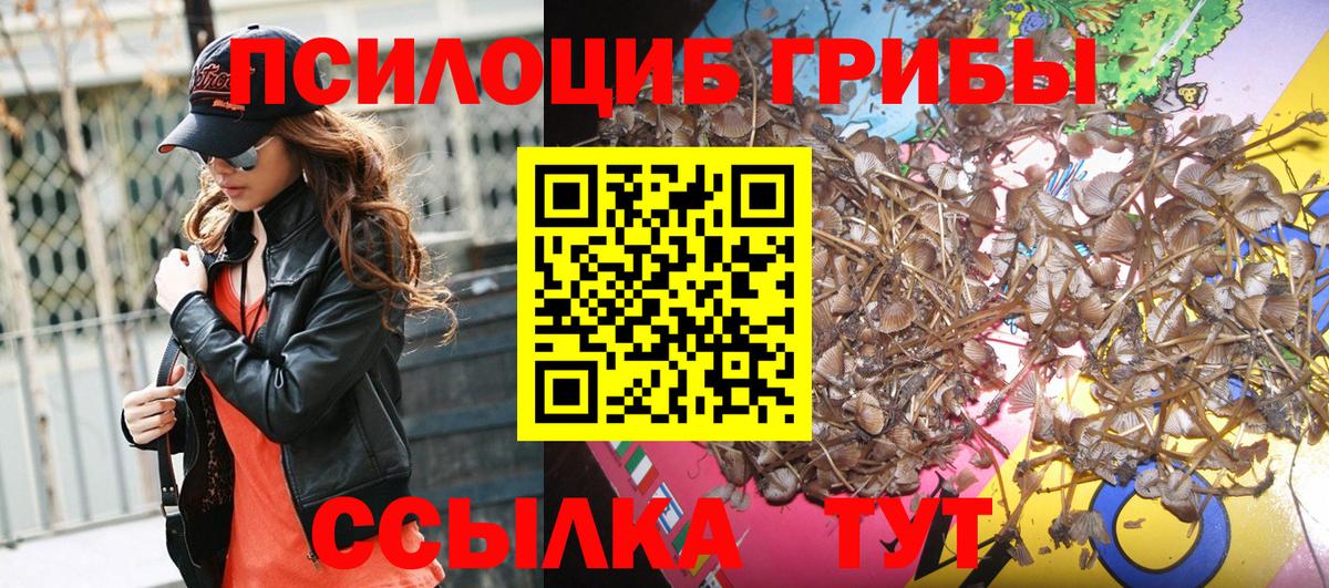 Псилоцибиновые грибы GOLDEN TEACHER Дзержинск